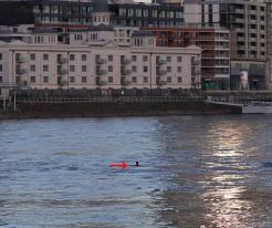 Plavec v Dunaji / Swimmer in the Danube, Dec 27th 2022 © P. Růžek