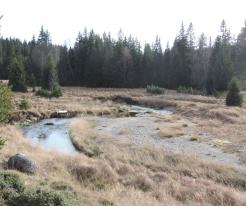 Modrava, Šumava / Bohemian Forest