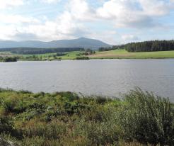 Drachensee